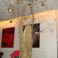 DSC02431.jpg